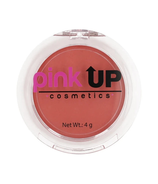 Blush 04 Mauve Pink Up